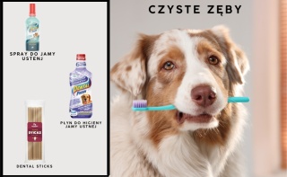 Czyste zęby- zestaw M