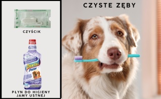 Czyste zęby - zestaw S