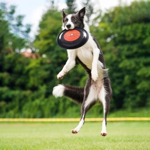 Frisbee AC/DC
