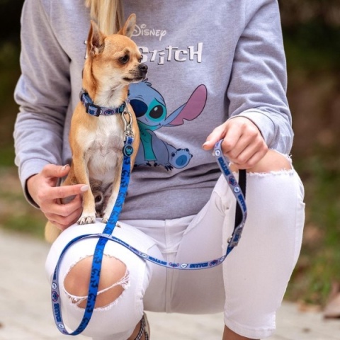 Obroża Stitch