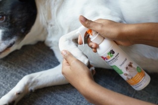 Pawz SaniPaw® Spray Antybakteryjny 236 ml