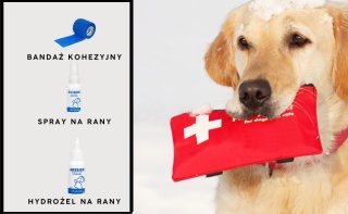 Pierwsza pomoc dla psa zestaw II- apteczka