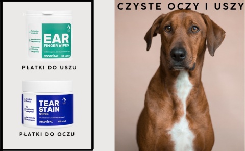 Zestaw do codziennej higieny uszu i oczu