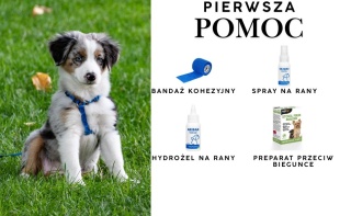 Pierwsza pomoc- zestaw niezbędny