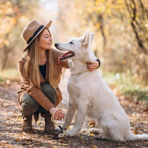 2Dog mokra karma wołowina z cielęcina 800g