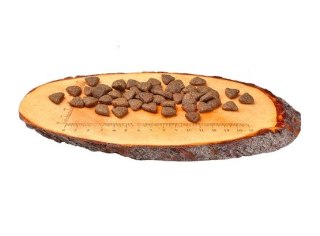 Carnilove Dog Salmon Adult - łosoś 12kg. Omega-3, bezzbożowa