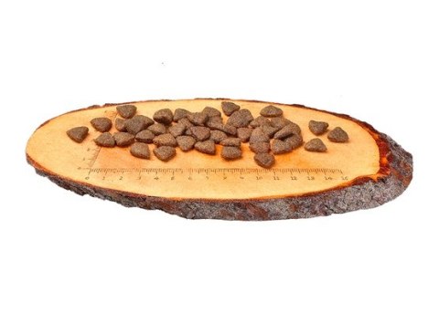 Carnilove Dog Salmon Adult - łosoś 12kg. Omega-3, bezzbożowa