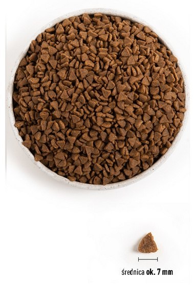 Acana First Feast Cat & Kitten 1,8kg, karma dla kociąt