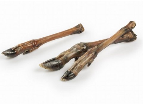 Balto Racica sarny 5szt– Niskotłuszczowy Gryzak z Dziczyzny (Kolagen dla Stawów)