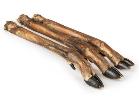 Balto Racica sarny 5szt– Niskotłuszczowy Gryzak z Dziczyzny (Kolagen dla Stawów)