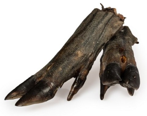 Balto Racica dzika 1szt– Twardy Gryzak z Dziczyzny na Długi Czas