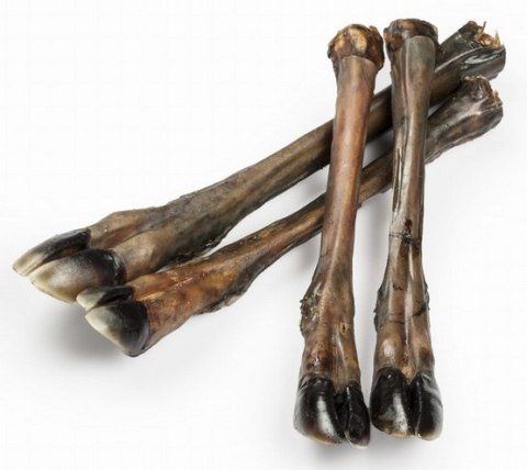 Balto Racica jelenia 2szt– Duży Gryzak z Dziczyzny, Niskotłuszczowy