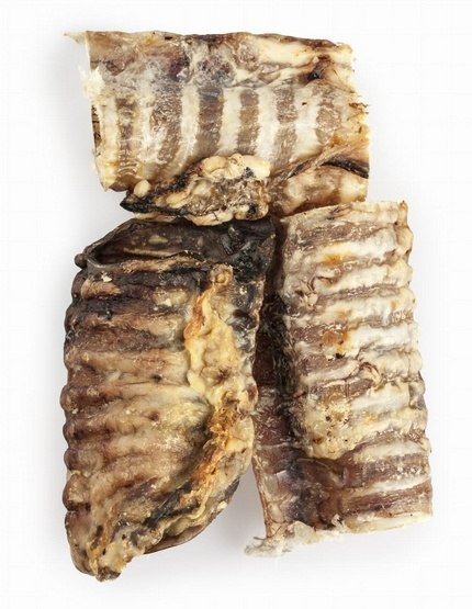 Balto Tchawica wołowa 100g– Chrupiący Gryzak Bogaty w Białko