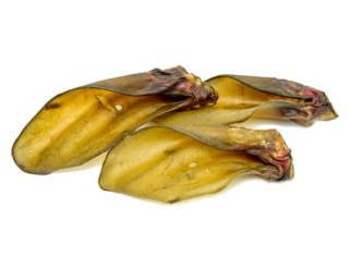 Balto Ucho wołowe 1szt – Twardy Gryzak z Kolagenem, Niski Tłuszcz