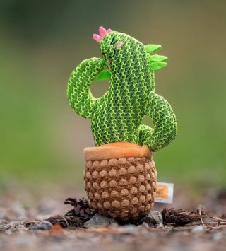 Dingo Zabawka dla psa - Kaktus Dolores 19cm