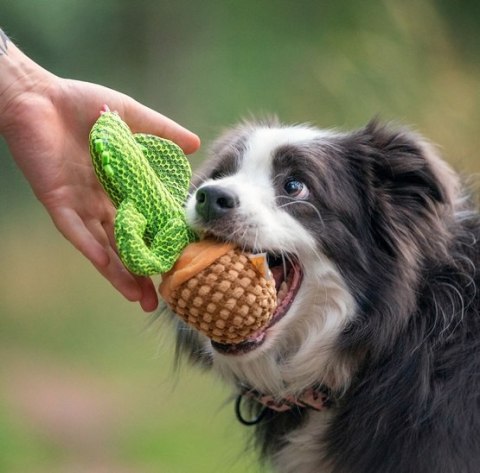 Dingo Zabawka dla psa - Kaktus Dolores 19cm