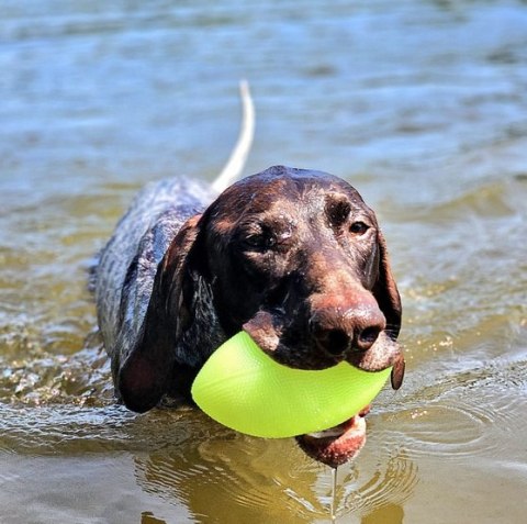 Dingo Zabawka dla psa - Piłka świecąca Play & Glow 14x8cm