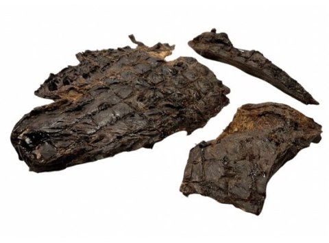 Balto Serca z jelenia 250g– Ekskluzywny, Niskotłuszczowy Przysmak z Dziczyzny