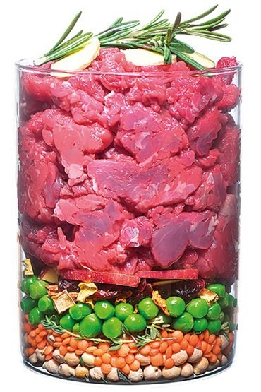 Carnilove Dog True Fresh Beef Adult - wołowina 11,4kg, świeża wołowina 60%