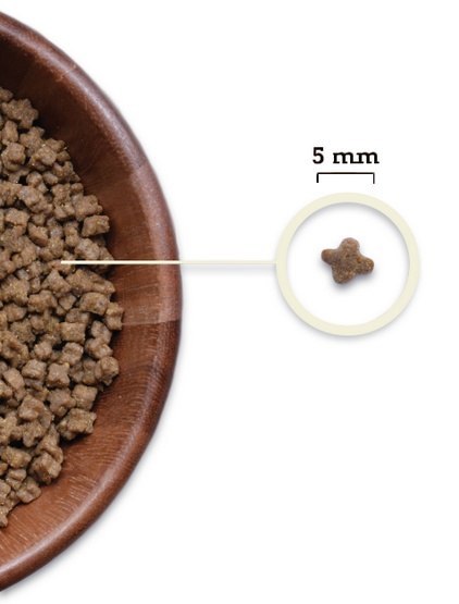 Acana Highest Protein Kitten -dla kociąt z kurczakiem, indykiem i łososiem 1,8kg