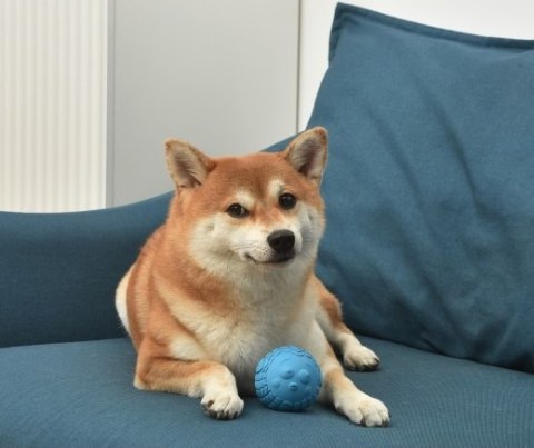 Arm&Hammer Piłka dentystyczna na przysmaki dla psa