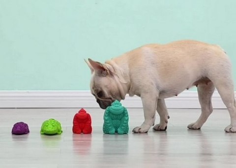 Arm&Hammer Super Treadz Gator Large