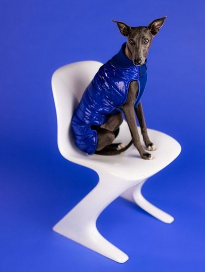 Kurtka/Kubrak wodoodporny 3XL chabrowy, Chaba