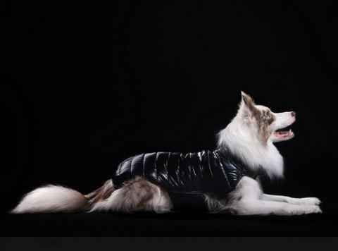 Kubrak/ Kurtka wodoodporna czarna 3XL, Chaba