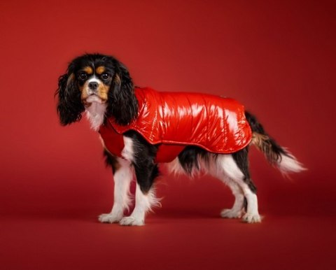 Kurtka/ Kubrak wodoodporny 3XL czerwony, Chaba