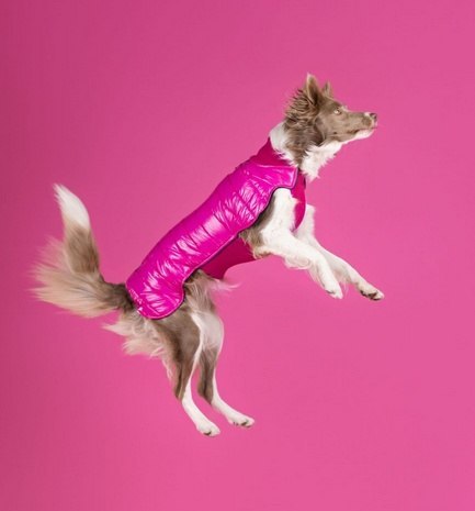 Kurtka/ Kubrak wodoodporny 3XL fuksja, Chaba