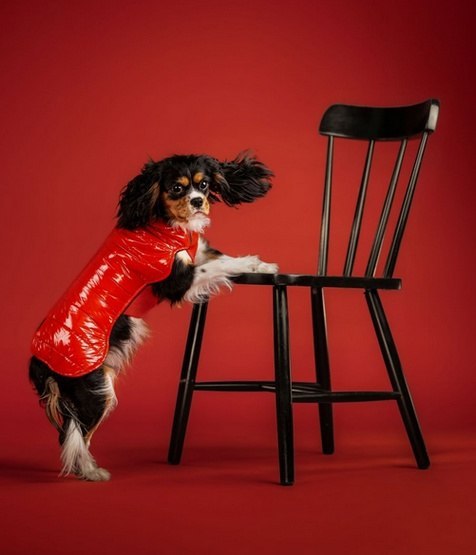 Kurtka/ Kubrak wodoodporny Dopamine 4XL czerwony, Chaba