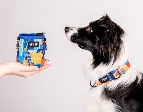 CHABA Saszetka Aussie na smakołyki z kieszenią 2w1