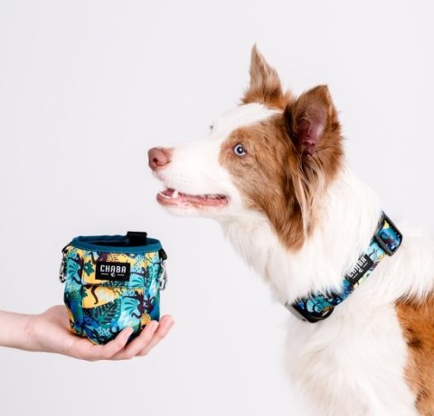 CHABA Saszetka Carnival na smakołyki z kieszenią 2w1