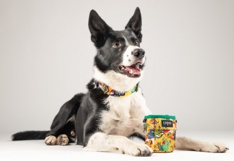 CHABA Saszetka na smakołyki z kieszenią Jumbo 2w1