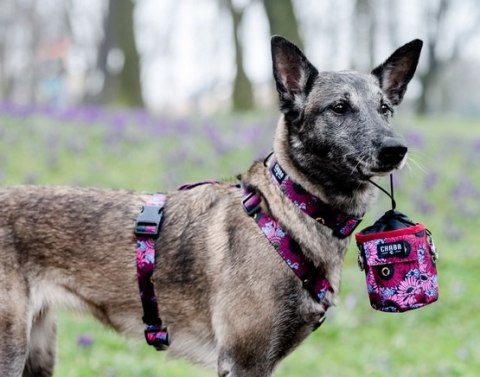 CHABA Saszetka na smakołyki z kieszenią Lakota 2w1