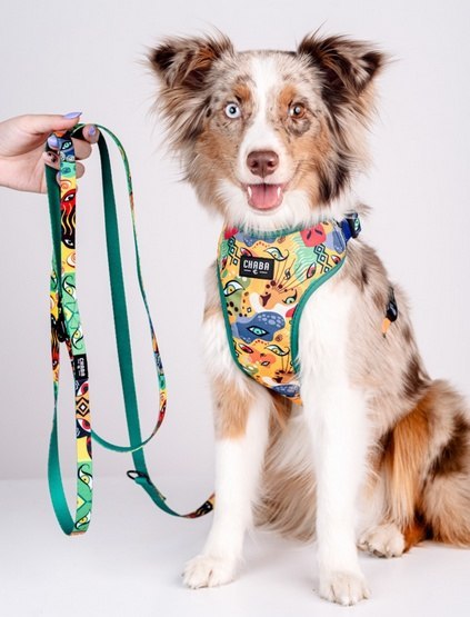 CHABA Smycz taśma regulowana Story III L 25mm x2,6m Jumbo