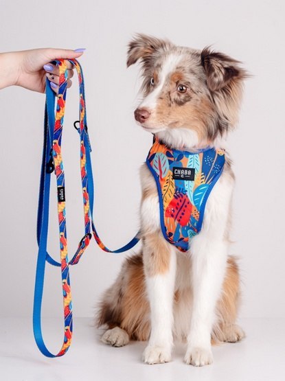 CHABA Smycz regulowana taśmowa M 20mm/2,6m Aussie