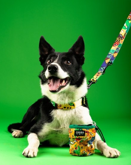 CHABA Smycz regulowana taśmowa S 16mm/2,6m Jumbo