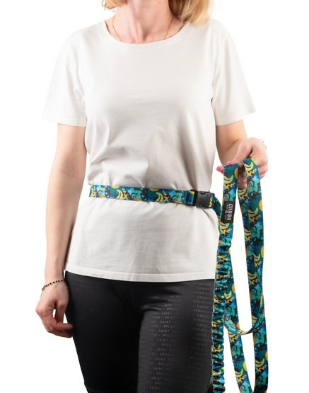 CHABA Smycz z amortyzatorem i pasem do biegania L 25mm/2,8m Carnival