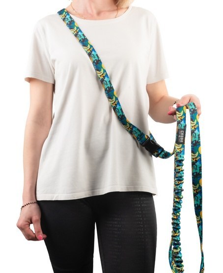 CHABA Smycz z amortyzatorem i pasem do biegania L 25mm/2,8m Carnival