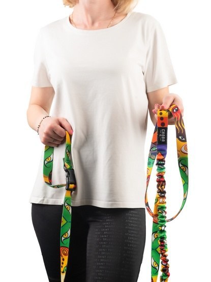 CHABA Smycz z amortyzatorem i pasem do biegania L 25mm/2,8m Jumbo