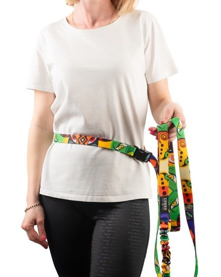 CHABA Smycz z amortyzatorem i pasem do biegania L 25mm/2,8m Jumbo