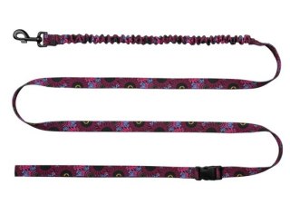 CHABA Smycz z amortyzatorem i pasem do biegania L 25mm/2,8m Lakota