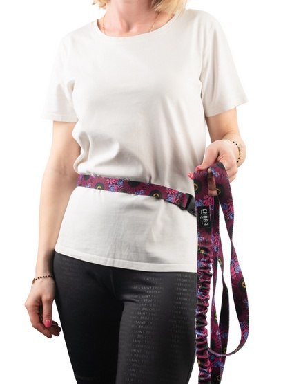 CHABA Smycz z amortyzatorem i pasem do biegania L 25mm/2,8m Lakota