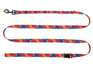 CHABA Smycz z amortyzatorem do biegania, spacerów M 25mm/2,8m Aussie