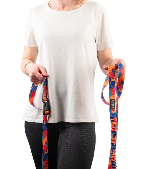 CHABA Smycz z amortyzatorem do biegania, spacerów M 25mm/2,8m Aussie