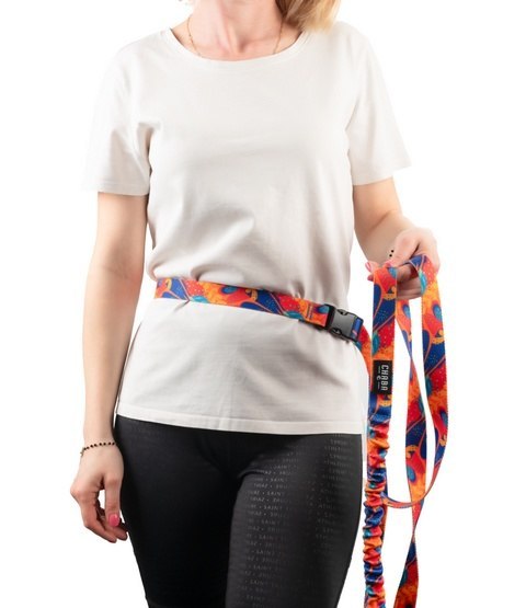 CHABA Smycz z amortyzatorem do biegania, spacerów M 25mm/2,8m Aussie