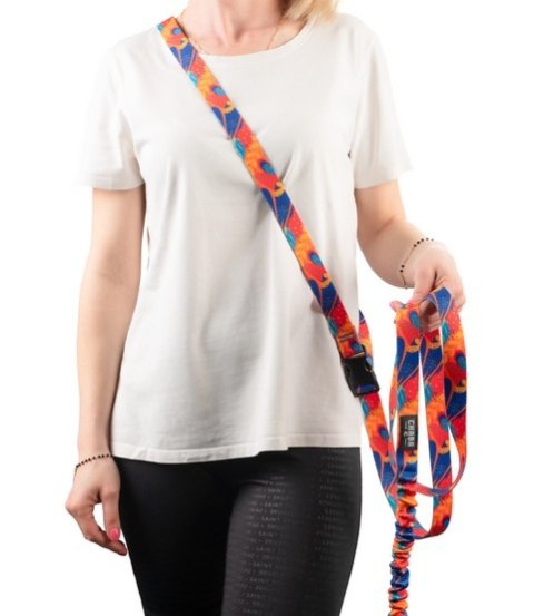 CHABA Smycz z amortyzatorem do biegania, spacerów M 25mm/2,8m Aussie