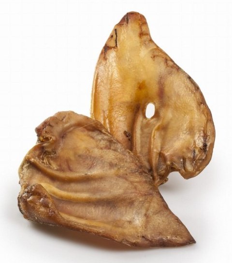 Balto Ucho wieprzowe 1szt– Twardy Gryzak z Kolagenem