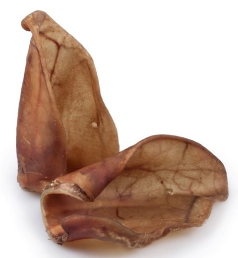 Balto Ucho wieprzowe 1szt– Twardy Gryzak z Kolagenem